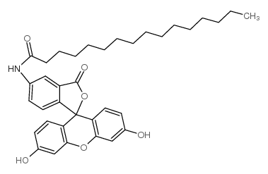 5-(N-十六烷酰)氨基荧光黄结构式