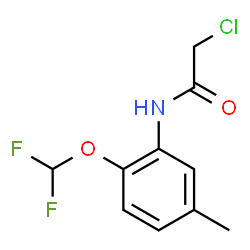 2-CHLORO-N-(2-DIFLUOROMETHOXY-5-METHYL-PHENYL)-ACETAMIDE Structure