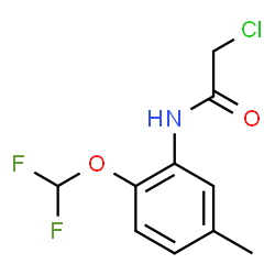 2-CHLORO-N-(2-DIFLUOROMETHOXY-5-METHYL-PHENYL)-ACETAMIDE structure