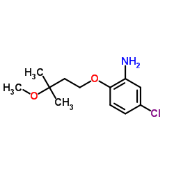 5-Chloro-2-(3-methoxy-3-methylbutoxy)aniline结构式