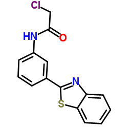 ACETAMIDE, N-[3-(2-BENZOTHIAZOLYL)PHENYL]-2-CHLORO-结构式