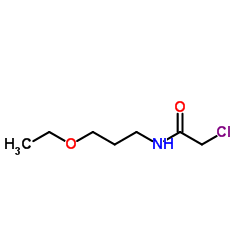 2-Chloro-N-(3-ethoxypropyl)acetamide结构式