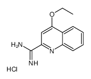 4-ethoxyquinoline-2-carboximidamide,hydrochloride Structure