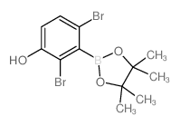 2,4-Dibromo-3-(4,4,5,5-tetramethyl-1,3,2-dioxaborolan-2-yl)phenol picture