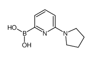 6-(Pyrrolidin-1-yl)pyridine-2-boronic acid结构式