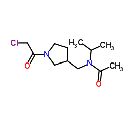 N-{[1-(Chloroacetyl)-3-pyrrolidinyl]methyl}-N-isopropylacetamide Structure