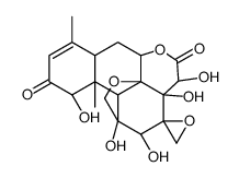 Pasakbumin-B Structure