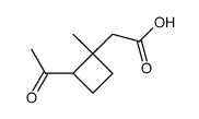 2-acetyl-1-methyl-1-cyclobutaneacetic acid Structure