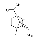 Bicyclo[2.2.1]heptane-1-carboxylic acid, 3-hydrazono-4,7,7-trimethyl- (9CI) structure