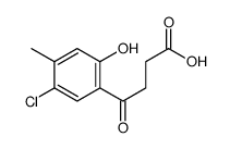 4-(5-chloro-2-hydroxy-4-methylphenyl)-4-oxobutanoic acid结构式