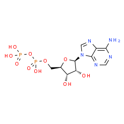 dynorphin A (1-13), Ala(2)-Trp(4)- picture