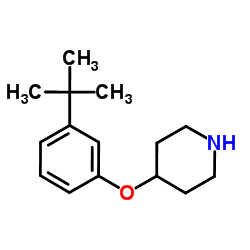 4-[3-(2-Methyl-2-propanyl)phenoxy]piperidine结构式