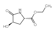 Proline, 4-hydroxy-5-oxo-, ethyl ester, trans- (9CI) structure