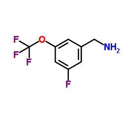 3-Fluoro-5-(trifluoromethoxy)benzylamine picture