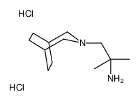 1-(3-azabicyclo[3.2.2]nonan-3-yl)-2-methylpropan-2-amine,dihydrochloride Structure