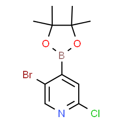 5-Bromo-2-chloropyridine-4-boronic acid, pinacol ester Structure