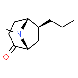 8-Azabicyclo[3.2.1]octan-2-one,8-methyl-6-propyl-,(1R,5R,6S)-rel-(9CI) structure