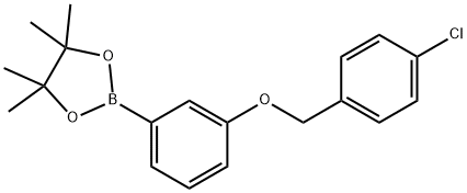 3-(4-氯苄氧基)苯基硼酸频哪醇酯图片