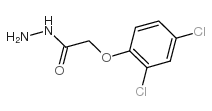 2,4-Dichlorophenoxyacetic acid hydrazide picture