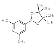 2,6-Dimethylpyridin-4-ylboronic acid pinacol ester Structure