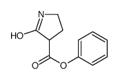 phenyl 2-oxopyrrolidine-3-carboxylate Structure