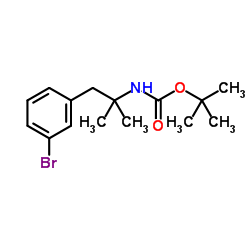 2-Methyl-2-propanyl [1-(3-bromophenyl)-2-methyl-2-propanyl]carbamate结构式