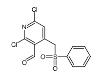 4-(benzenesulfonylmethyl)-2,6-dichloropyridine-3-carbaldehyde Structure