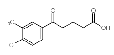 5-(4-CHLORO-3-METHYLPHENYL)-5-OXOVALERIC ACID structure