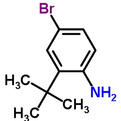 4-溴-2-叔丁基苯胺图片