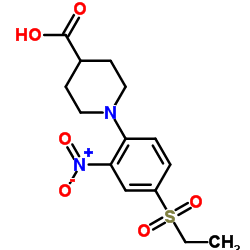 1-[4-(Ethylsulfonyl)-2-nitrophenyl]-4-piperidinecarboxylic acid结构式