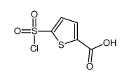 5-chlorosulfonylthiophene-2-carboxylic acid结构式