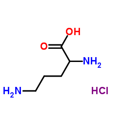 H-DL-Orn-OH.HCl structure