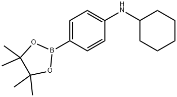 Pinacol 4-cyclohexylaminophenylboronic acid Structure