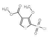 METHYL 5-(CHLOROSULFONYL)-4-METHOXYTHIOPHENE-3-CARBOXYLATE structure