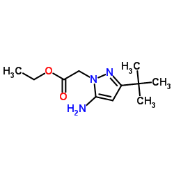 Ethyl [5-amino-3-(2-methyl-2-propanyl)-1H-pyrazol-1-yl]acetate结构式