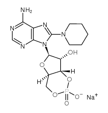 8-PIP-cAMP structure