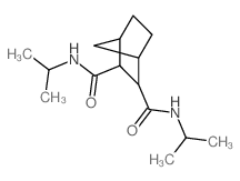 N,N-dipropan-2-ylnorbornane-2,3-dicarboxamide Structure