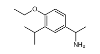 Benzenemethanamine, 4-ethoxy-alpha-methyl-3-(1-methylethyl)- (9CI) structure