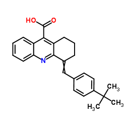 4-(4-TERT-BUTYL-BENZYLIDENE)-1,2,3,4-TETRAHYDRO-ACRIDINE-9-CARBOXYLIC ACID结构式