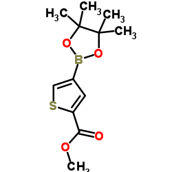 4-(4,4,5,5-四甲基-2-1,3,-二噁硼烷基)噻吩2-甲酸甲酯图片