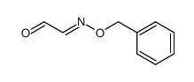 glyoxal mono-O-benzyloxime Structure