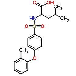 N-{[4-(2-Methylphenoxy)phenyl]sulfonyl}leucine结构式