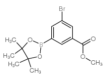3-溴-5-(4,4,5,5-四甲基-1,3,2-二氧硼杂环戊烷-2-基)苯甲酸甲酯图片