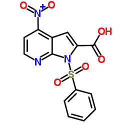 1-(Phenylsulphonyl)-4-nitro-7-azaindole-2-carboxylic acid结构式
