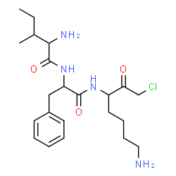 isoleucyl-phenylalanyl-lysine chloromethyl ketone picture