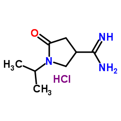 1-Isopropyl-2-oxopyrrolidine-4-carboxamidine Hydrochloride structure