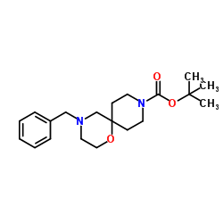 tert-butyl 4-benzyl-1-oxa-4,9-diazaspiro[5.5]undecane-9-carboxylate picture