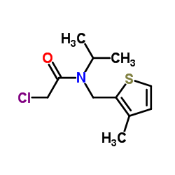 2-Chloro-N-isopropyl-N-[(3-methyl-2-thienyl)methyl]acetamide结构式