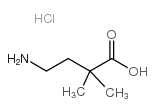 4-AMINO-2,2-DIMETHYLBUTYRIC ACID picture