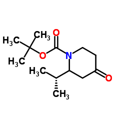 1-N-BOC-2-ISOPROPYLPIPERIDIN-4-ONE picture